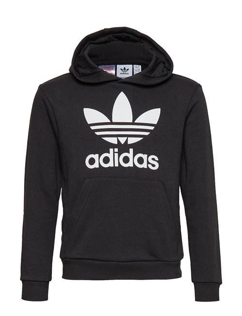 adidas Originals Trefoil Hoodie Adidas Originals Black