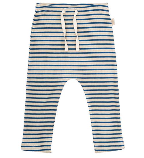 Se Petit Piao Bukser - Rib - Modal - Deep Cobalt/Dark Off White ved KidsWorld