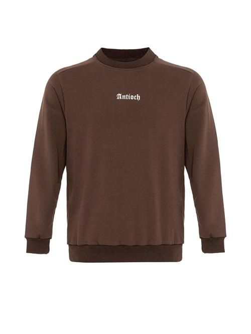 Antioch Sweatshirt  brun / kastaniebrun / hvid