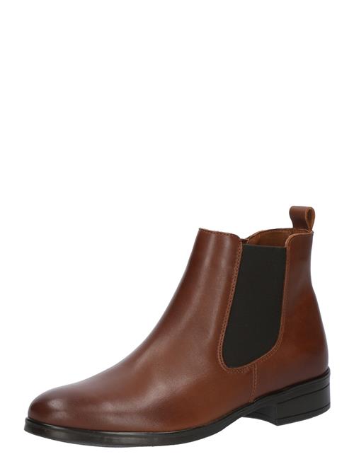 ALDO Chelsea Boots 'WICOENIA'  brun / sort