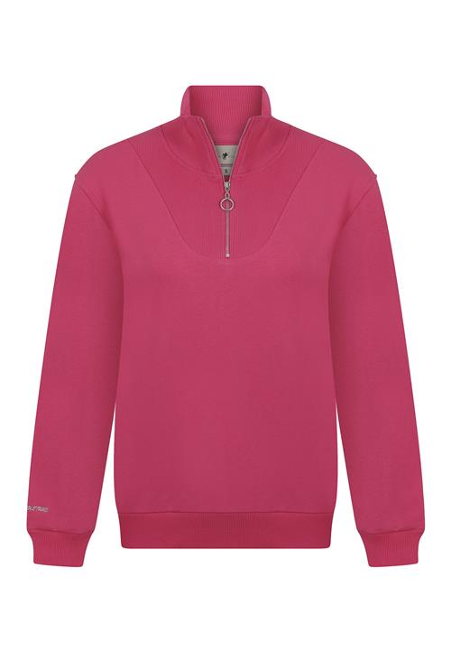 Se DENIM CULTURE Sweatshirt 'Tatiana'  grå / fuchsia ved About You