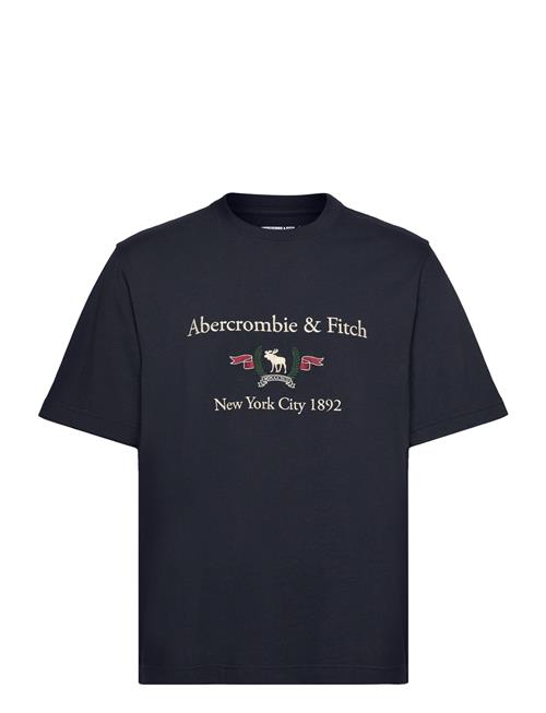 Abercrombie & Fitch Anf Mens Graphics Abercrombie & Fitch Blue