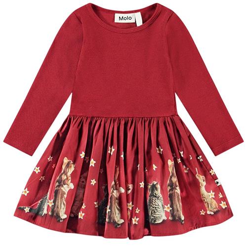 Se Molo GOTS Candi Kjole Velvety Kittens 86 cm  Rød  86 cm  kvinde ved Babyshop