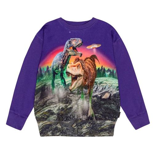 Se Molo GOTS Mattis Sweatshirt Dino Play | Lilla | 152 cm ved Babyshop