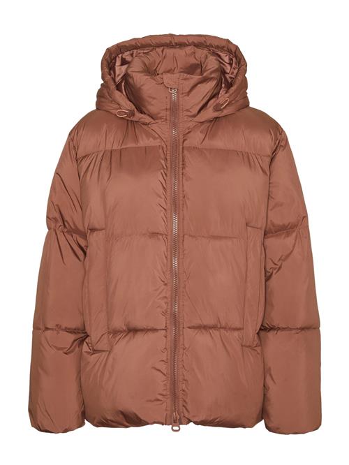 VERO MODA Vinterjakke 'VMIDALINE'  brun