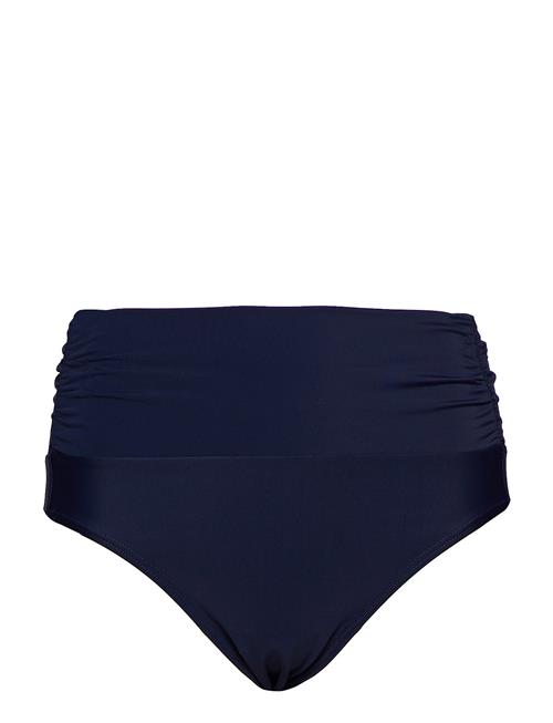 Swim Tai De Luxe Wiki Blue