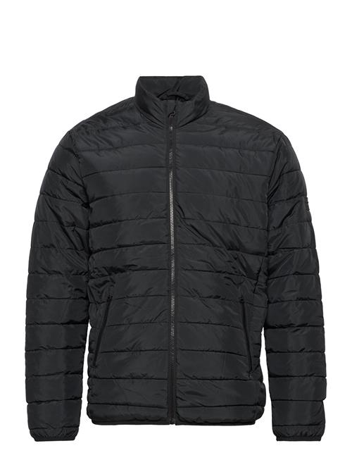 Jack & Jones Jwhwing Stand Collar Puffer Jacket Jack & J S Black