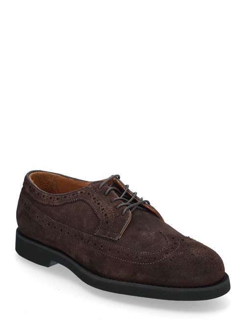 Canton Suede Sebago Brown