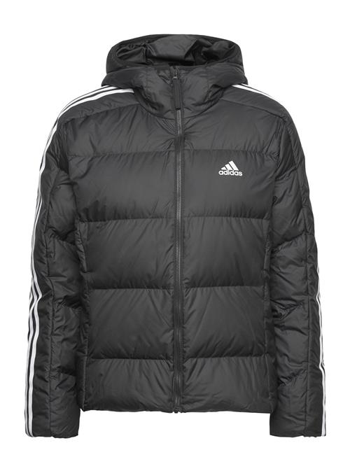 adidas Sportswear W Ess M D Ho J Adidas Sportswear Black