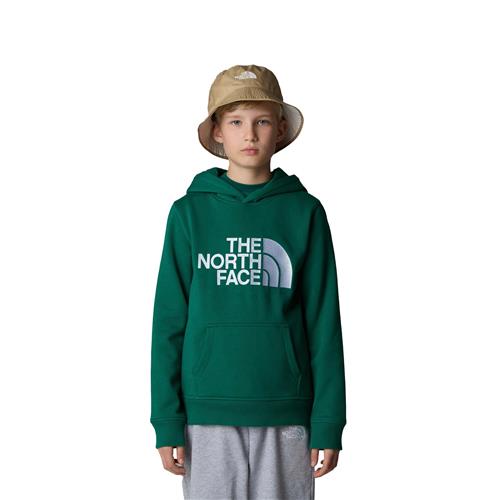 The North Face Drew Peak Hættetrøje 12 - 14 ÅR / XL - Sweatshirts & Træningøjer hos Magasin