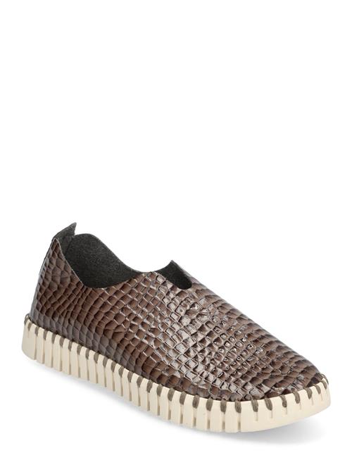 Ilse Jacobsen Flats Ilse Jacobsen Brown