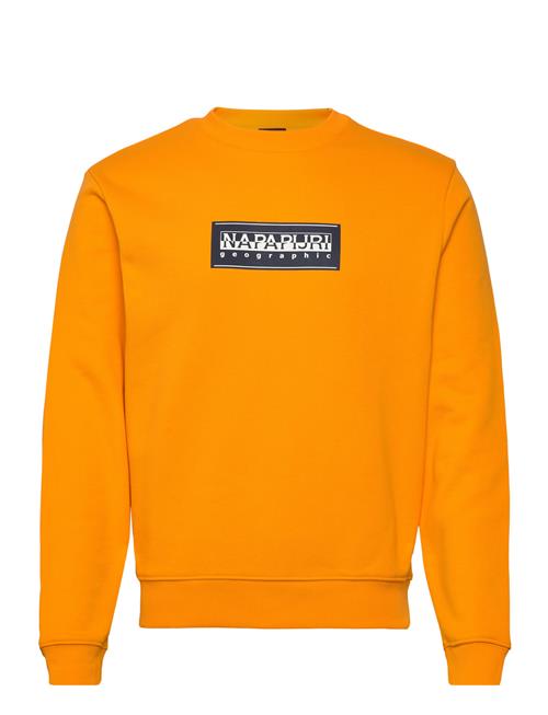 Se Napapijri Box Logo Sweatshirt Napapijri Orange ved Booztlet