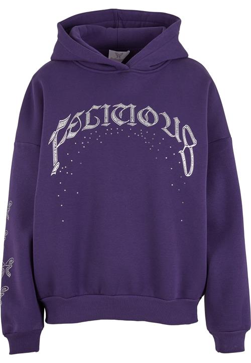 Felicious Sweatshirt  grå / lilla