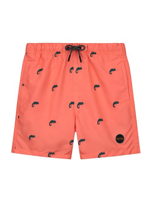 Shiwi Badeshorts  navy / orange