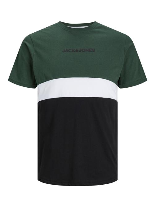 JACK & JONES Bluser & t-shirts 'JJEReid'  mørkegrøn / sort / hvid