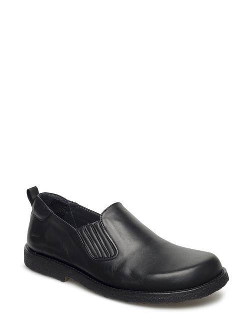 ANGULUS Shoes - Flat - With Elastic ANGULUS Black