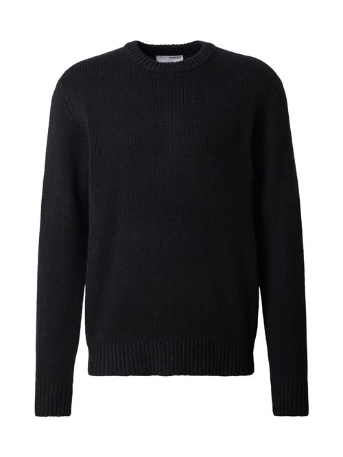 SELECTED HOMME Pullover 'SLHCody'  sort