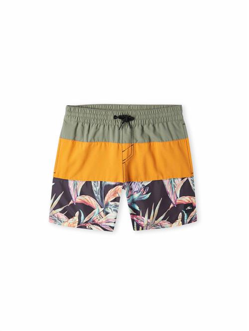 O'NEILL Badeshorts  blandingsfarvet