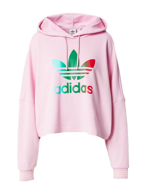 ADIDAS ORIGINALS Sweatshirt 'Adicolor 70S '  lyseblå / grøn / lys pink / rød