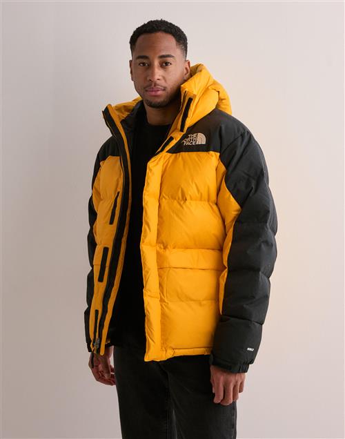 The North Face Men's Hmlyn Down Parka Dunjakker Gul