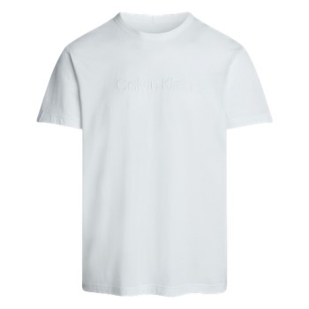 Calvin Klein Logo Cotton Tee Hvid bomuld Small Herre