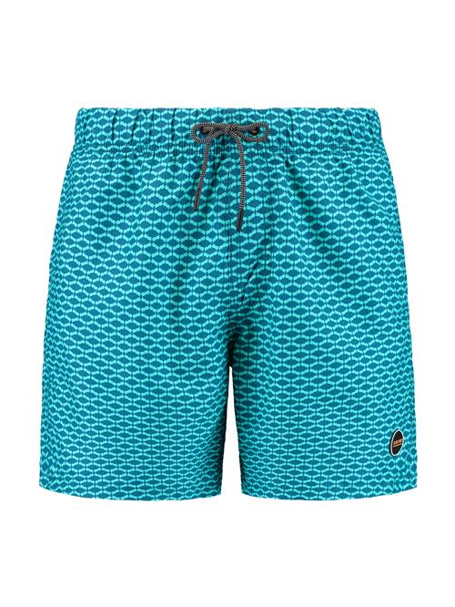 Shiwi Badeshorts  turkis / aqua