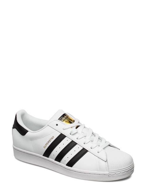 adidas Originals Superstar Adidas Originals White