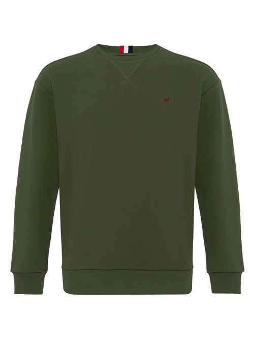 Williot Sweatshirt 'HOLMAN'  grøn / khaki