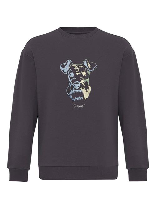 Se Williot Sweatshirt 'HUGO'  grå / blandingsfarvet ved About You