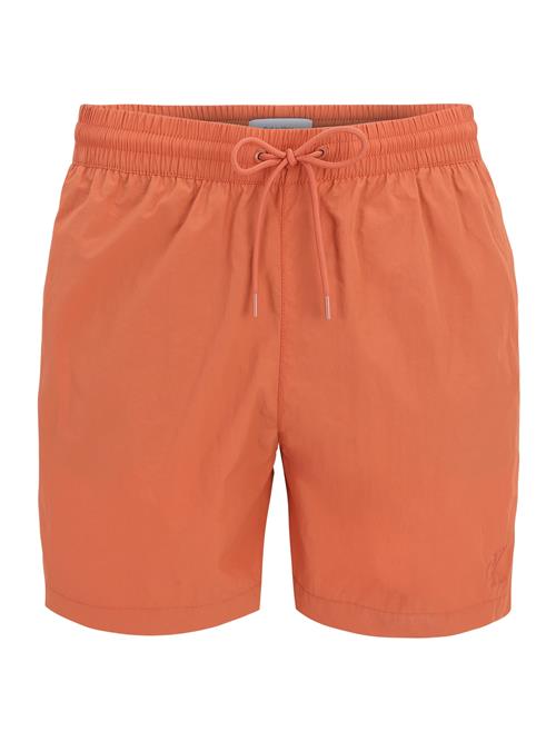 Calvin Klein Swimwear Badeshorts  rustbrun