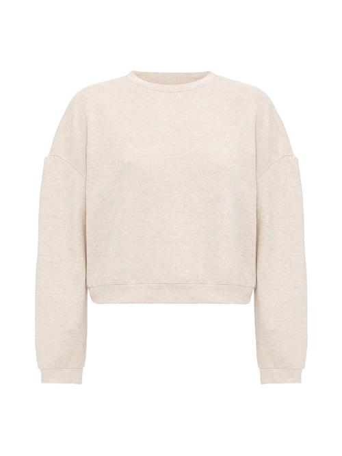 Se Williot Pullover 'Nelma'  beige ved About You