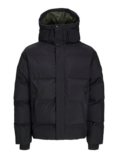 JACK & JONES Vinterjakke 'JCOAlpha'  sort