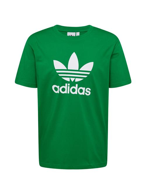 ADIDAS ORIGINALS Bluser & t-shirts 'Adicolor Trefoil'  grøn / hvid