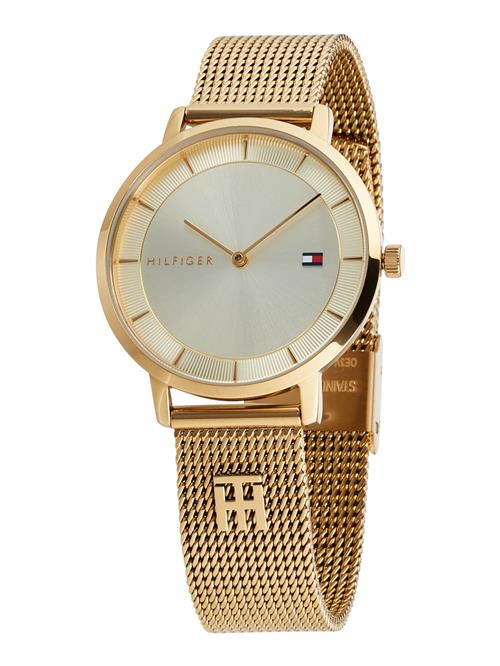 Se TOMMY HILFIGER Analogt ur 'Dressed Up'  guld ved About You