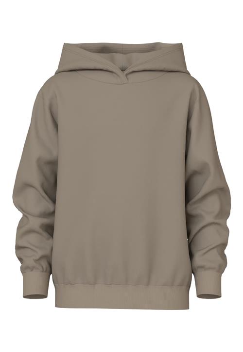 NAME IT Sweatshirt 'NKMVIAN'  mørkebeige