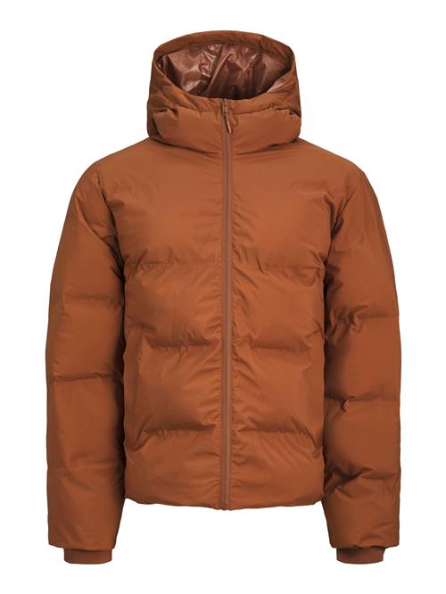 JACK & JONES Vinterjakke 'JJPayne'  cognac