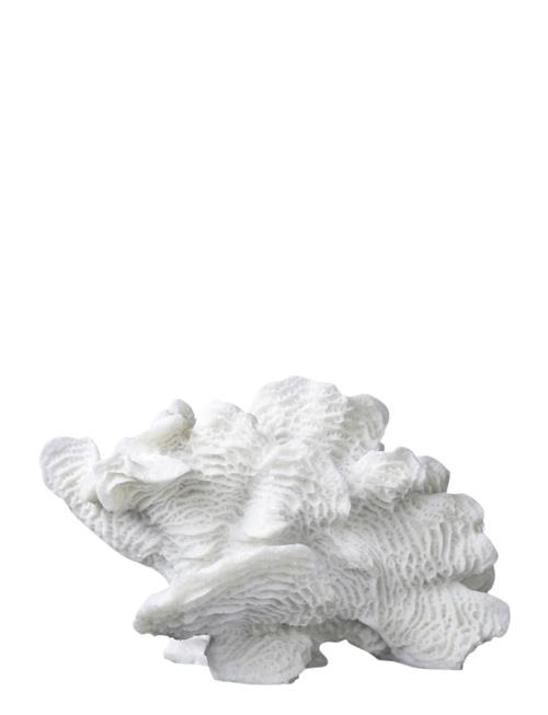 Mette Ditmer Coral, Large Fan Mette Ditmer White