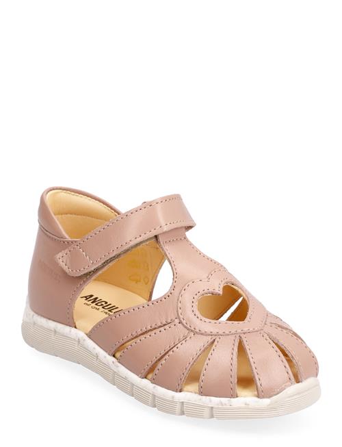 ANGULUS Sandals - Flat - Closed Toe - ANGULUS