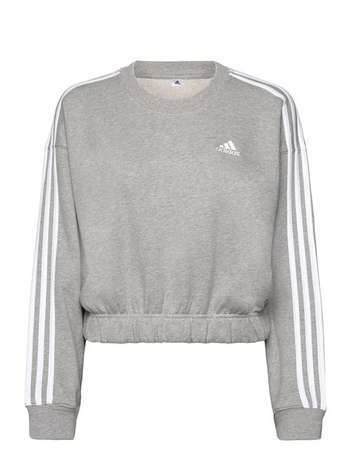 Se adidas Sportswear Essentials 3-Stripes Crop Sweatshirt Adidas Sportswear Grey ved Booztlet