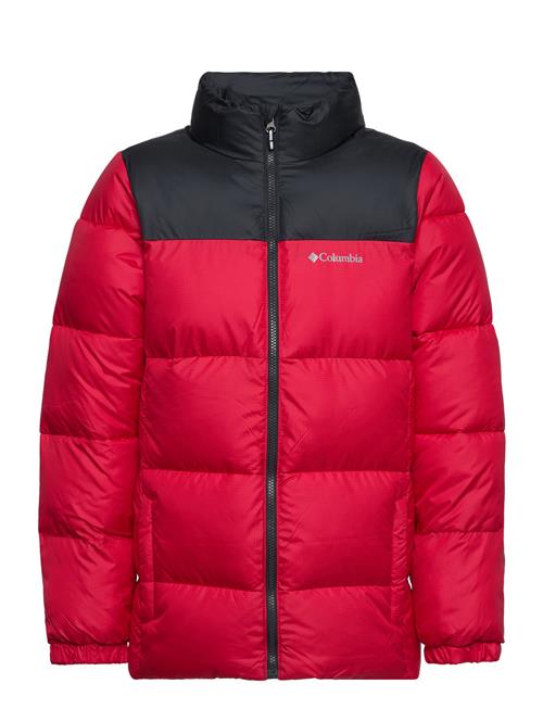 Columbia Sportswear Puffect Jacket Columbia Sportswear Red