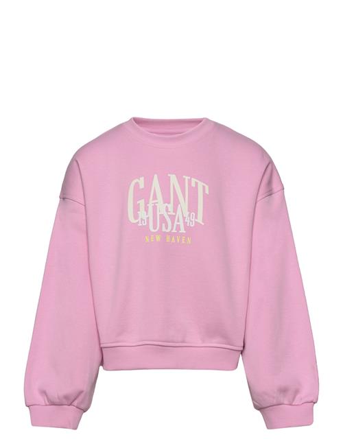 GANT Gant Usa Voluminous C-Neck GANT Pink