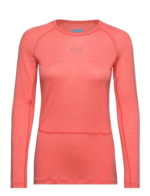 Icebreaker W 125 Z Knit Ls Crewe Icebreaker Pink