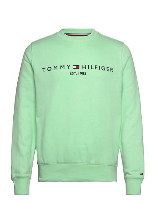 Se Tommy Hilfiger Tommy Logo Sweatshirt Tommy Hilfiger Green ved Booztlet