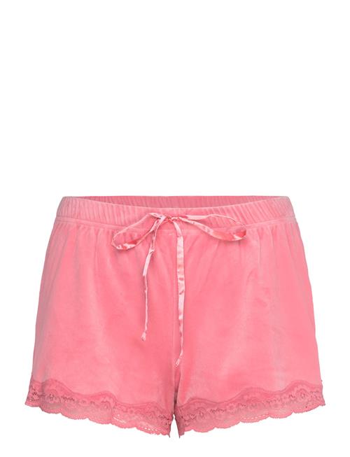 Hunkemöller Short Velours Scallop Lace Hunkemöller Pink