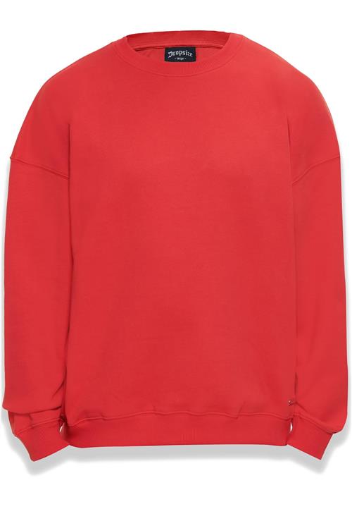 Dropsize Sweatshirt 'Bazix Republiq'  rød