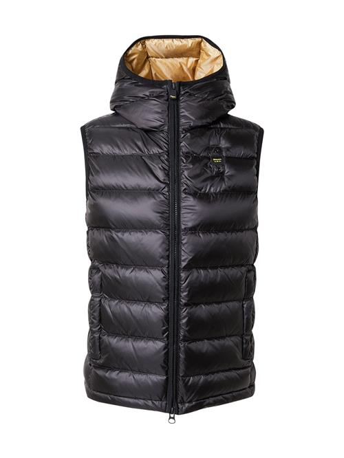 Blauer.USA Vest  guld / sort