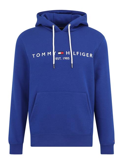 TOMMY HILFIGER Sweatshirt  ensian / rød / hvid