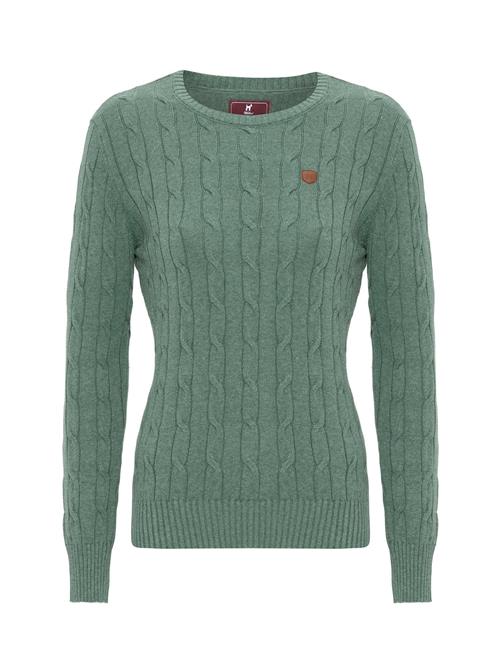 Williot Pullover 'Fuerteventura'  brun / grøn