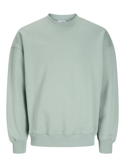 JACK & JONES Sweatshirt 'JJEURBAN EDGE'  pastelgrøn