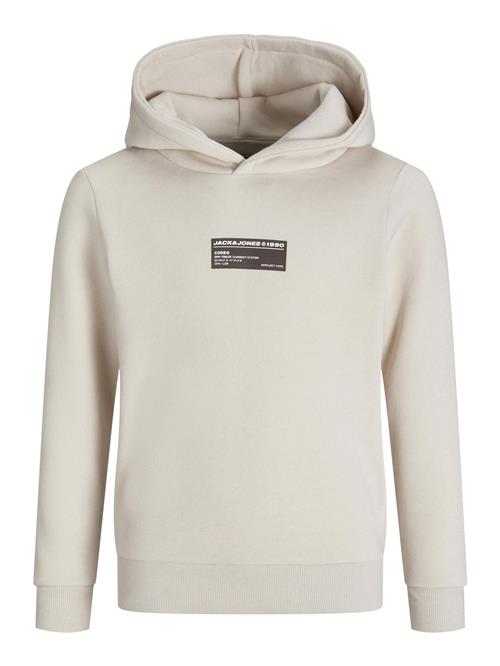 Jack & Jones Junior Sweatshirt  grå / sort